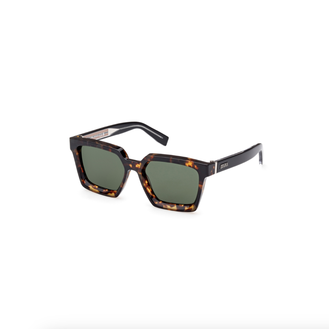 Zegna EZ0214