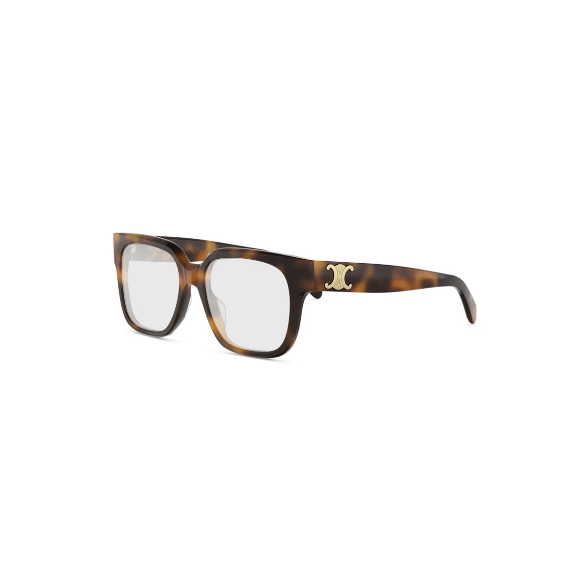 CELINE TRIOMPHE CL50172I - voorradig