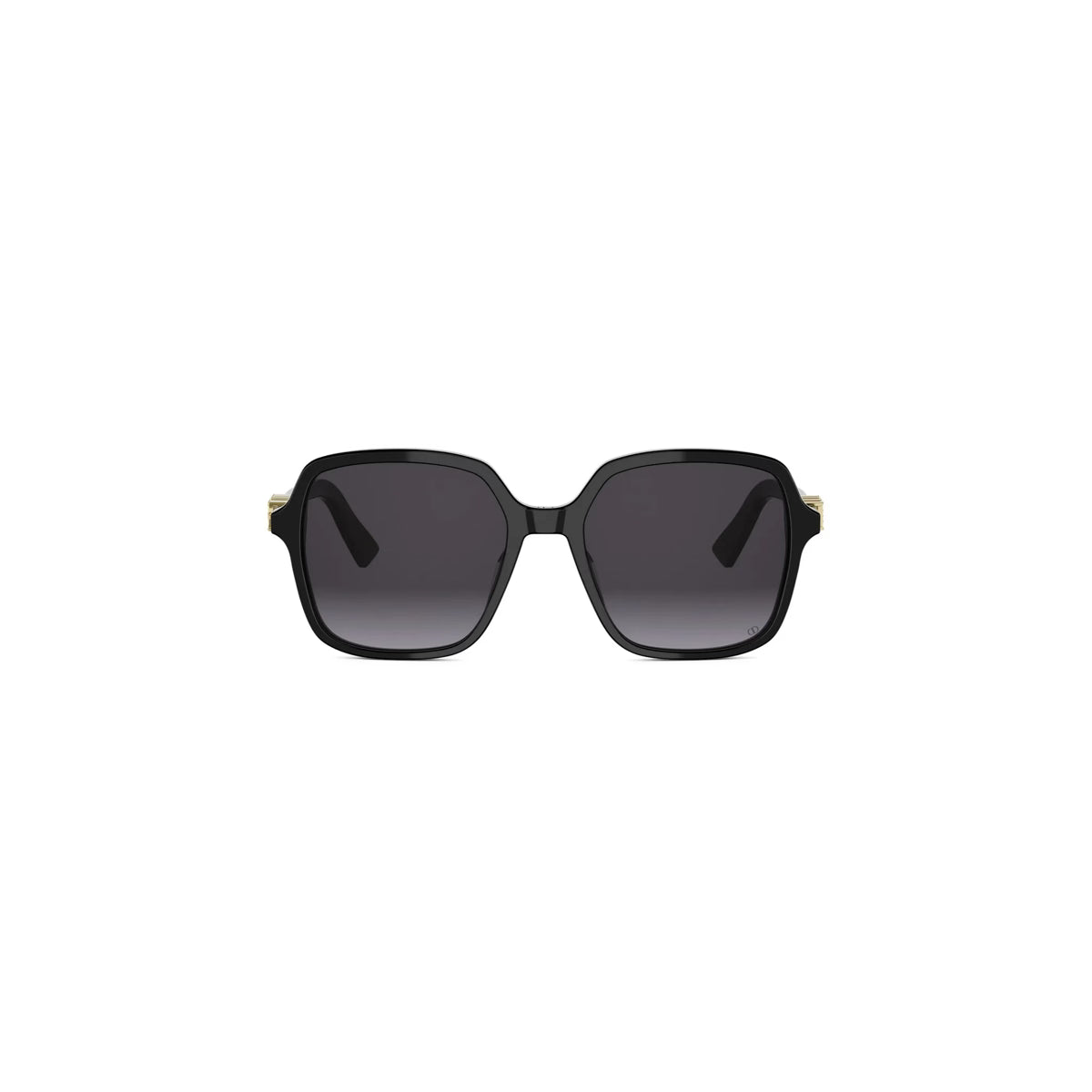 DIOR TREASURE S1I - voorradig
